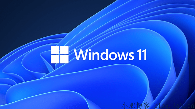 [原版系统]Windows 11 23H2 2024年03月 官方正式版